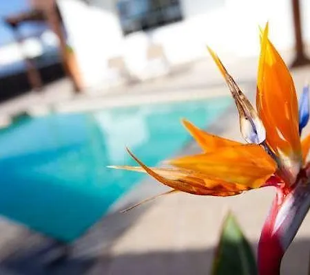 Prázdninový dům Oryza Puerto del Carmen (Lanzarote)