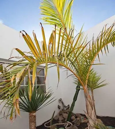 Oryza Puerto del Carmen (Lanzarote)